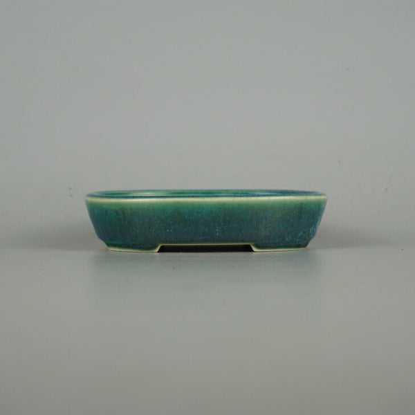 盆栽鉢 青香 小鉢 長辺 約10cm 楕円鉢 釉薬 b1198419179