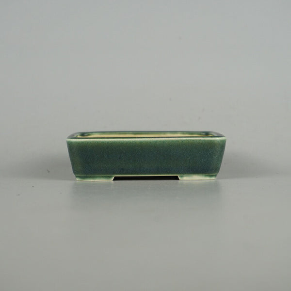 盆栽鉢 青香 小鉢 長辺 約9.4cm 長方鉢 釉薬 h1198430202