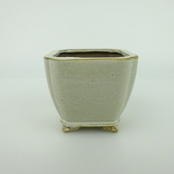 盆栽鉢 青香 小鉢 長辺 約6.5cm 正方鉢 隅入 雲足 下帯 釉薬 c1198413252