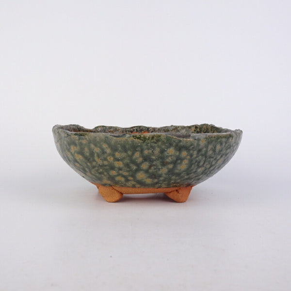 盆栽鉢 竹鳳 小型 長辺 約13cm 丸鉢 釉薬 数量物 新品 p1198419770