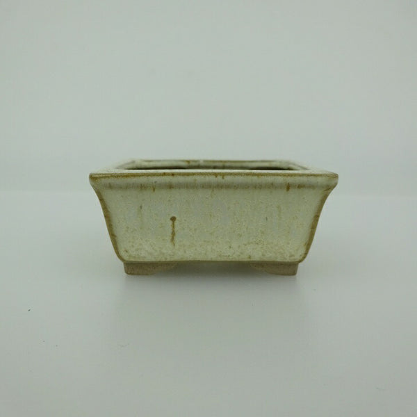 盆栽鉢 青香 小鉢 長辺 約5.8cm 長方鉢 縁付 釉薬  新品 v1198437880