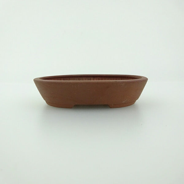 盆栽鉢 青香 小鉢 長辺 約8.3cm 楕円鉢 泥物 w1198408085