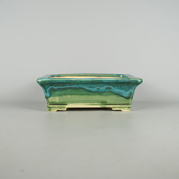 盆栽鉢 桂雲 福田桂雲 中型 長辺 約23.5cm 長方鉢 釉薬 新品 数量物 h1198422937