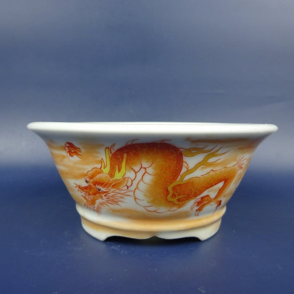 盆栽鉢 は二わ オリジナル鉢 小型 長辺 約12cm 丸鉢 赤絵 龍 ドラゴン 観賞用  新品 p1198412197