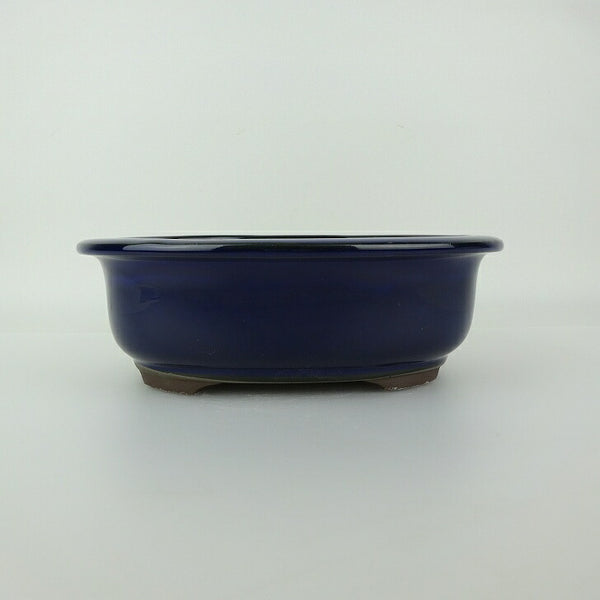 盆栽鉢 万古焼 萬古 中型 長辺 約21cm 楕円鉢 縁付 釉薬 新品 数量物 m1198413200