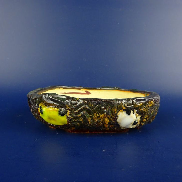 盆栽鉢 正志 古本正志 小型 長辺 約 11.5cm 楕円鉢 蟹 かに カニ 釉薬 箱付 観賞用  新品 q1198414577