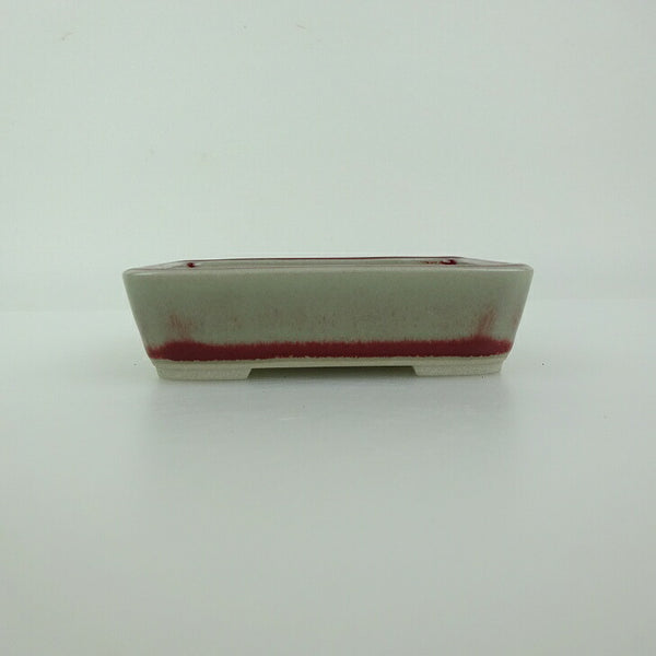 盆栽鉢 青香 小鉢 長辺 約9.3cm 長方鉢 釉薬 新品 数量物 p1198412298