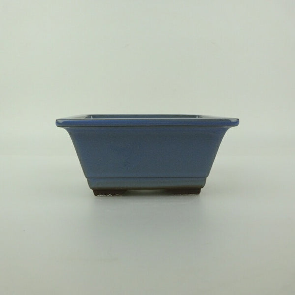 盆栽鉢 万古焼 萬古 森三 小型 長辺 約11.7cm 長方鉢 縁付 下帯 釉薬 新品 数量物 x1198417751