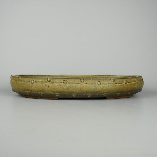 盆栽鉢 三州 一陽 中型 長辺 約34cm 楕円鉢 太鼓 鋲打 釉薬  中古鉢 f1198411718