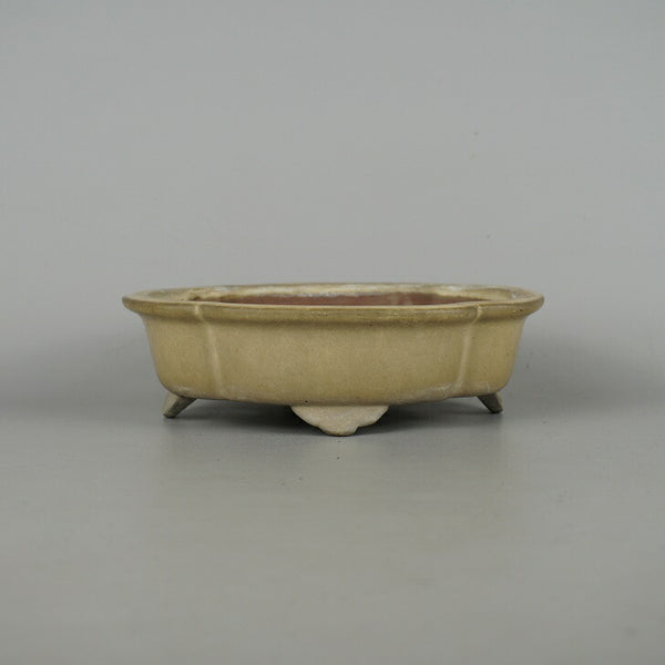 中古盆栽鉢 常滑 柴勝 小型 長辺 約18cm 木瓜鉢 外縁 釉薬  中古鉢 d1198425420