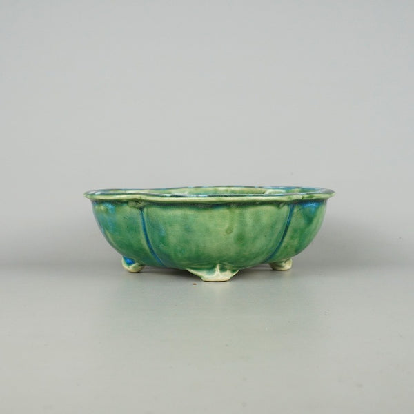 中古盆栽鉢 写楽 中型 長辺 約20.5cm 木瓜鉢 釉薬  中古鉢 v1198437682