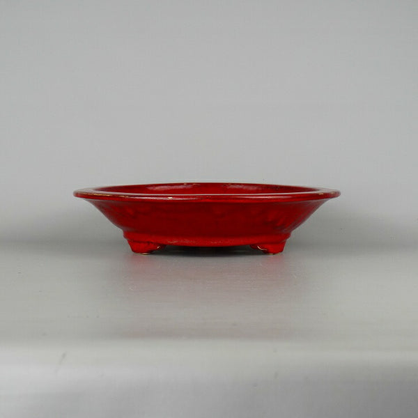 中古盆栽鉢 写楽 中型 長辺 約29.5cm 丸鉢 釉薬  中古鉢 p1198418878