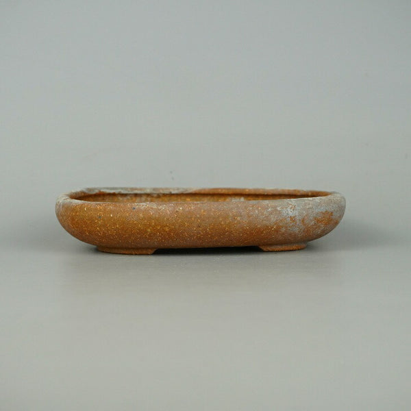 中古盆栽鉢 常滑 知 服部 小型 長辺 約 15.5cm 楕円鉢 泥物  中古鉢 u1198430759