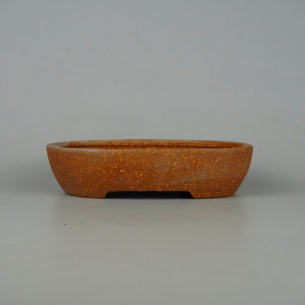 中古盆栽鉢 常滑 服部 小型 長辺 約15.5cm 楕円鉢 泥物  中古鉢 v1198436196