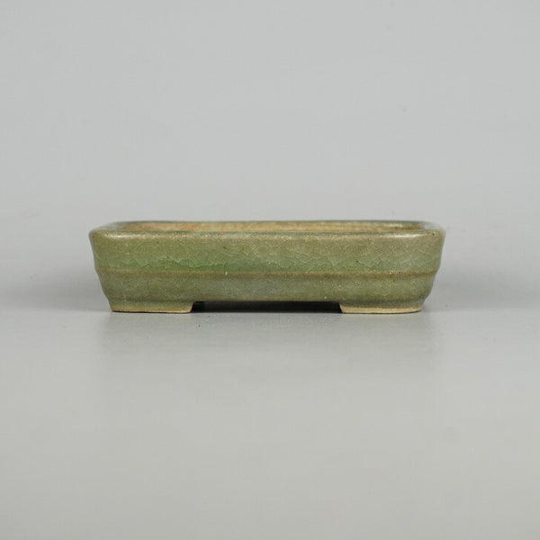 中古盆栽鉢 常滑 服部 小型 長辺 約13.3cm 長方鉢 撫角 中帯 釉薬  中古鉢 l1198413070