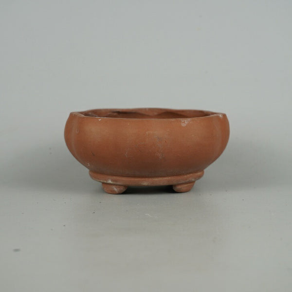 中古盆栽鉢 落款なし 小型 長辺 約 12.5cm 輪花鉢 下帯 泥物  中古鉢 f1198413166