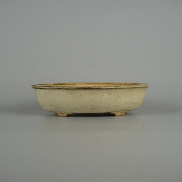 中古 盆栽鉢 常滑 服部 小型 長辺 約 15.5cm 木瓜鉢 縁付 釉薬  中古鉢 m1198412853