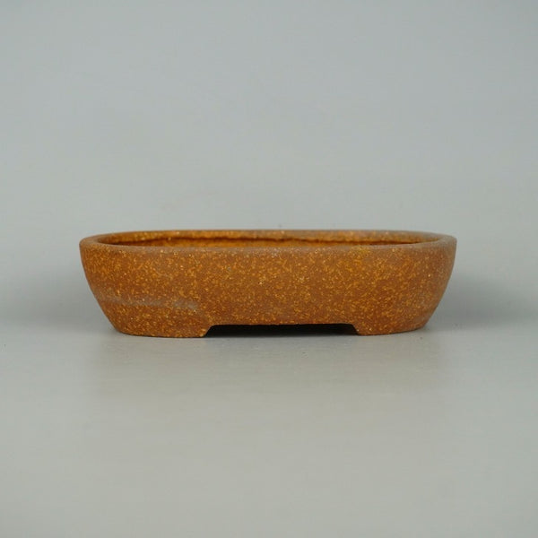 中古盆栽鉢 常滑 服部 小型 長辺 約 15.5cm 楕円鉢 泥物  中古鉢 t1198408525