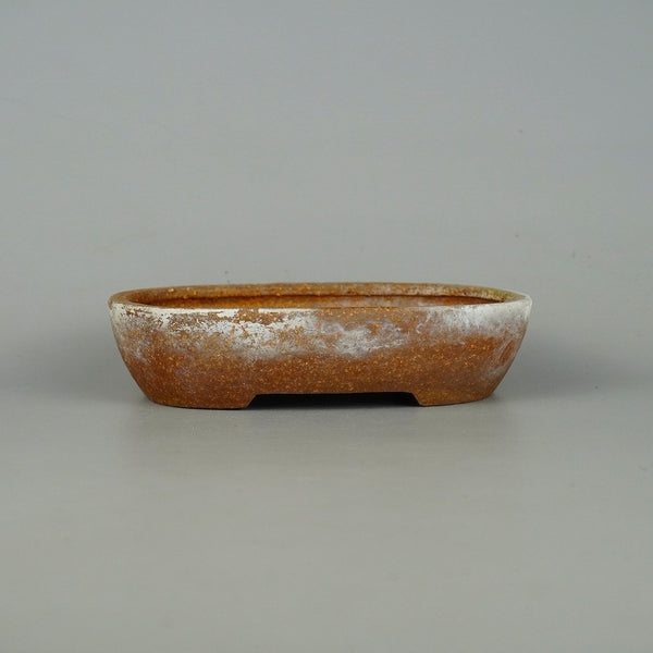 中古盆栽鉢 常滑 服部 小型 長辺 約 15.5cm 楕円鉢 泥物  中古鉢 o1198422631