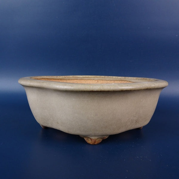 中古盆栽鉢 常滑 服部 小型 長辺 約14cm 木瓜鉢 外縁 釉薬  中古鉢 1198409105