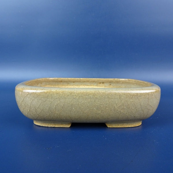 中古盆栽鉢 常滑 服部 小型 長辺 約12.7cm長方鉢 釉薬  中古鉢 o1198429562