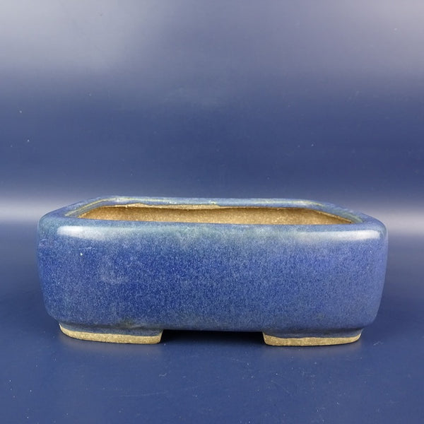中古盆栽鉢 常滑 服部 小型 長辺 約15.6cm 長方鉢 撫角 釉薬  中古鉢 c1198408676