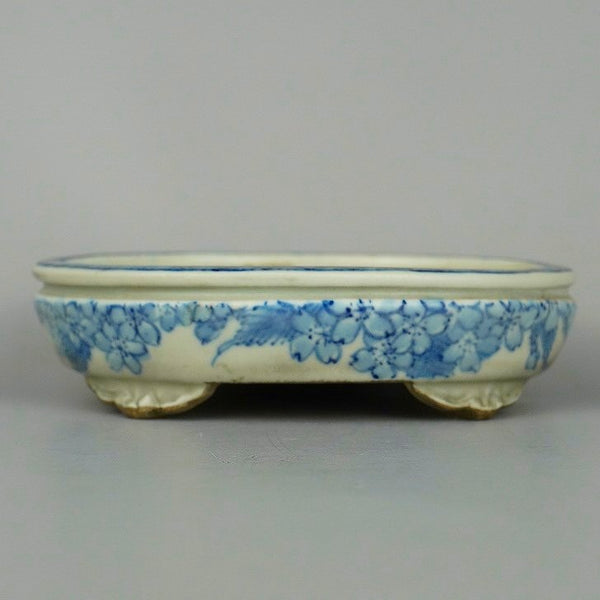 盆栽鉢 松本 松石 小型 長辺 約 12.3cm 楕円鉢 染付 草木 花 桜 雲足  中古鉢 d1198420947