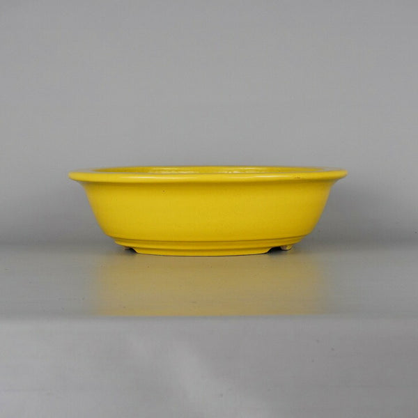 中古盆栽鉢 常滑 鴻陽 中型 長辺 約31cm 丸鉢 黄釉 釉薬  中古鉢 o1198426867