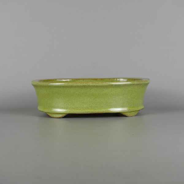 中古盆栽鉢 常滑 鴻陽造 中型 長辺 約24.3cm 楕円鉢 縁付 下帯 釉薬  中古鉢 c1198408379