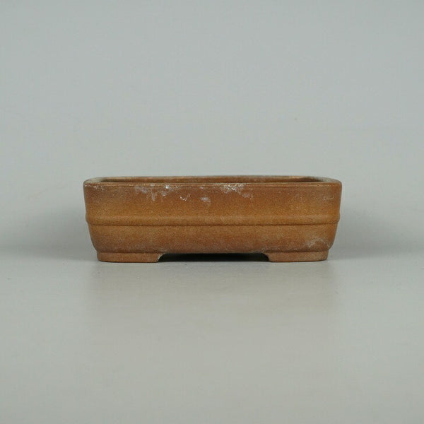 中古盆栽鉢 常滑 銭号 小型 長辺 約15.5cm 長方鉢 撫角 中帯 泥物  中古鉢 o1198422131