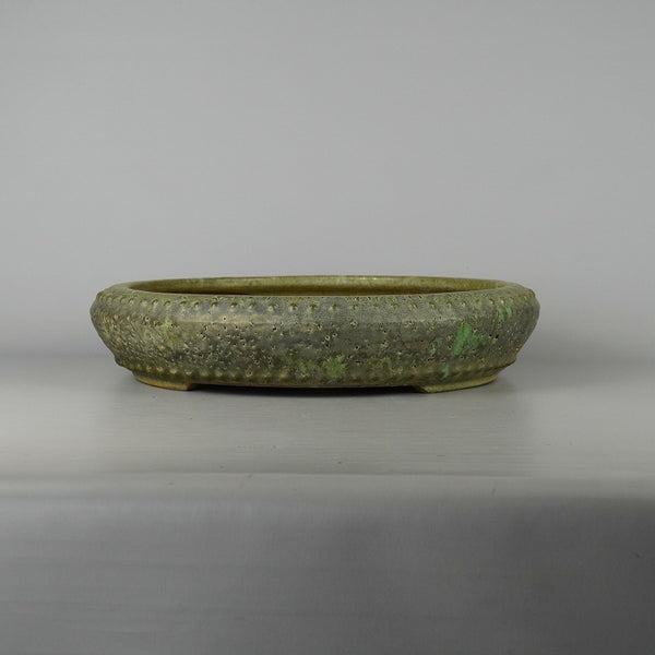 中古 盆栽鉢 常滑 秀峰 中型 長辺 約34.5cm 丸鉢 鋲打 釉薬  中古鉢 n1198411821