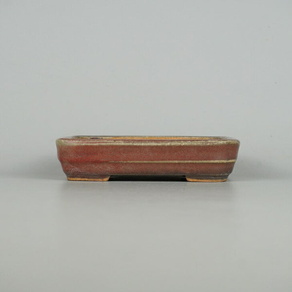 中古盆栽鉢 常滑 服部 小型 長辺 約13.3cm 長方鉢 撫角 中帯 釉薬  中古鉢 p1198416037