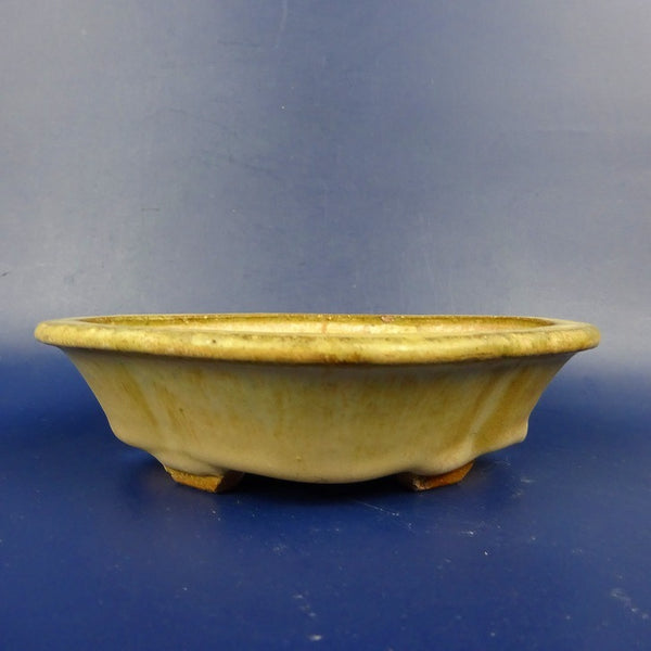 中古盆栽鉢 常滑 服部 小型 長辺 約13cm 木瓜鉢 外縁 切足  中古鉢 v1198434189