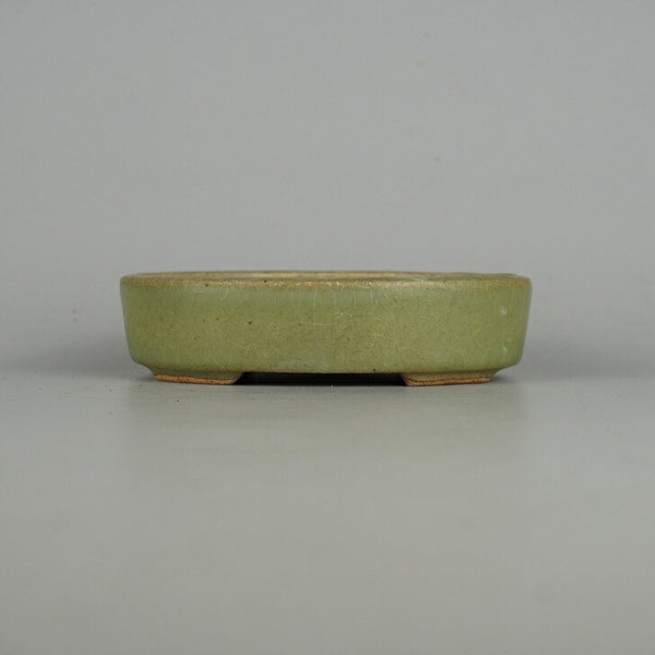 中古盆栽鉢 常滑 服部 小型 長辺 約13.3cm 楕円鉢 釉薬  中古鉢 j1198414881