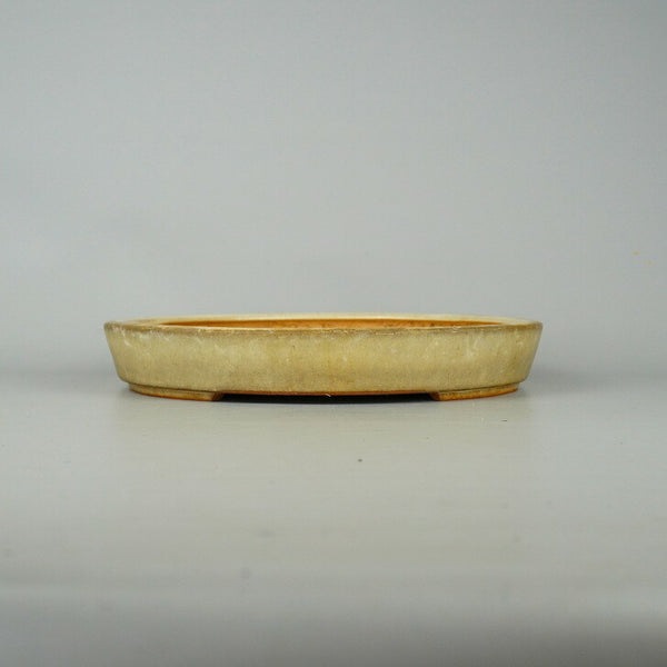 中古盆栽鉢 常滑 一弘 中型 長辺 約25cm 丸鉢 白釉 釉薬  中古鉢 w1198413067