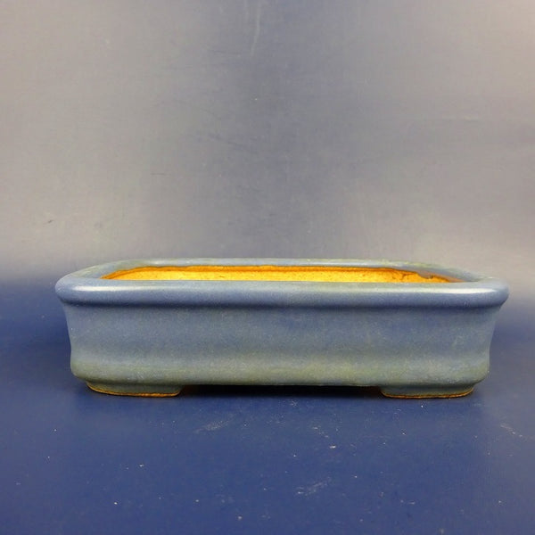 中古盆栽鉢 常滑 服部 小型 長辺 約13cm 長方鉢 撫角 外縁 切足 釉薬 青釉  中古鉢 f1198416201