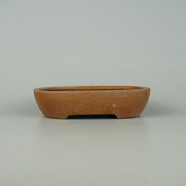 中古盆栽鉢 常滑 服部 小型 長辺 約 15.5cm 楕円鉢 泥物  中古鉢 v1198442956