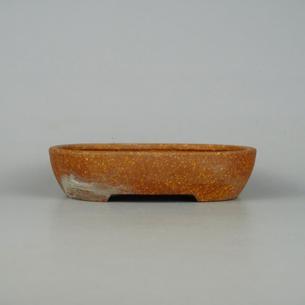 中古盆栽鉢 常滑 服部 小型 長辺 約 15.5cm 楕円鉢 泥物  中古鉢 k1198415053