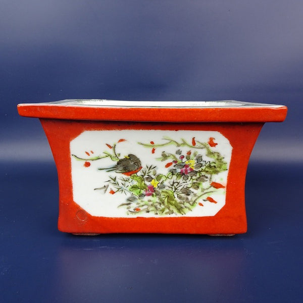 中古盆栽鉢 南京 落款あり 小型 長辺 約17.5cm 長方鉢 外縁 色絵 鳥 花  中古鉢 l1198409783