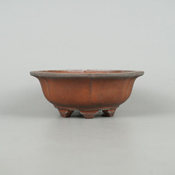 中古盆栽鉢 常滑 壱興造記 渡辺 一弘 小型 長辺 約14.2cm 輪花鉢 泥物  中古鉢 l1198409032