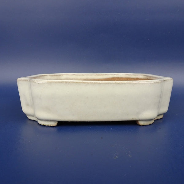 中古盆栽鉢 江小林 小型 長辺 約12cm 長方鉢 隅入 白釉 中国鉢  中古鉢 s1198410944