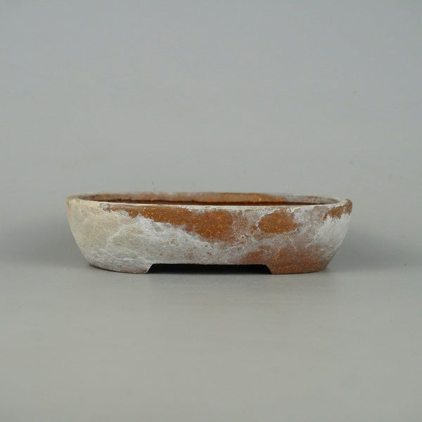 中古盆栽鉢 常滑 服部 小型 長辺 約 15.3cm 楕円鉢 泥物  中古鉢 o1198427958