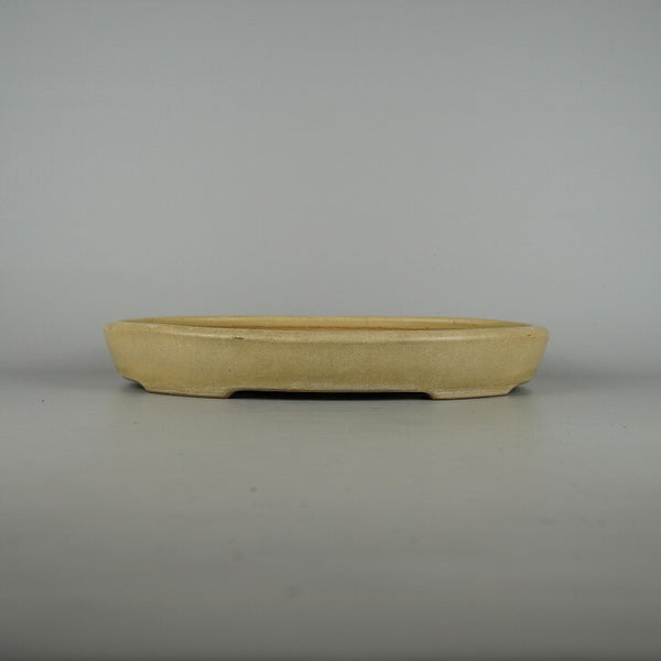 中古盆栽鉢 常滑 黎鳳造 中型 長辺 約35.8cm 楕円鉢 外縁 釉薬  中古鉢 m1198410162