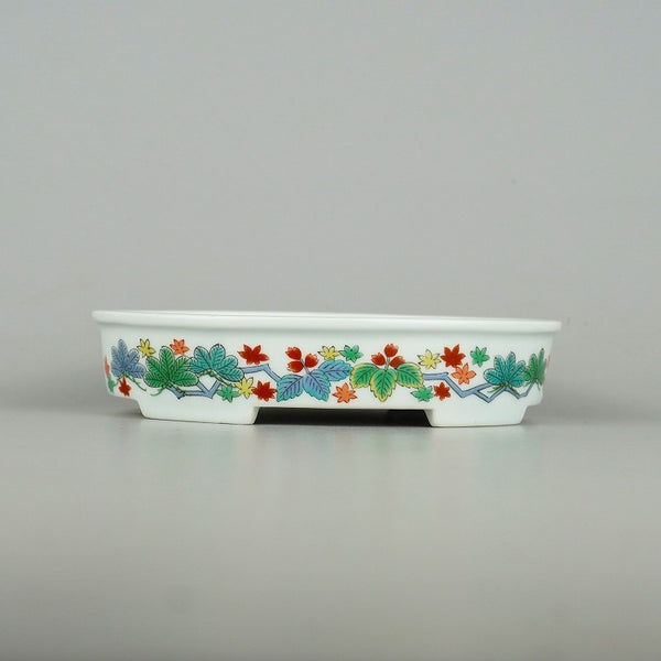 中古盆栽鉢 伊万里 真泉作 桜印有 小型 長辺 約15.8cm 楕円鉢 色絵 モミジ 紅葉 観賞用  中古鉢 o1198425766