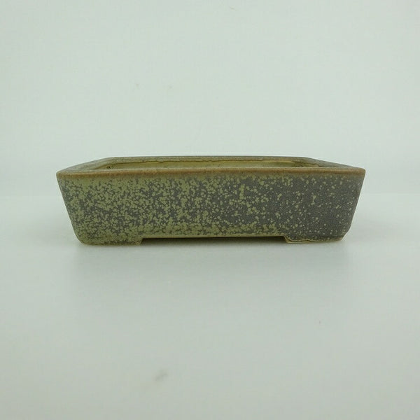 中古盆栽鉢 青香 小型 長辺 約 12cm 長方鉢 釉薬  中古鉢 j1198418106