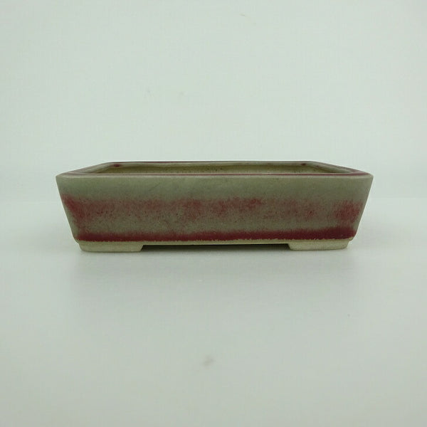 中古盆栽鉢 青香 小型 長辺 約 12cm 長方鉢 釉薬  中古鉢 h1198425967