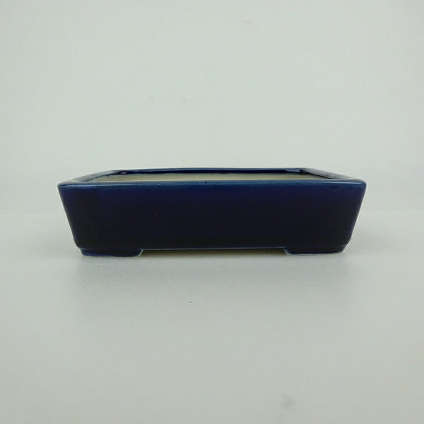 中古盆栽鉢 青香 小型 長辺 約 11.8cm 長方鉢 釉薬  中古鉢 h1198428512