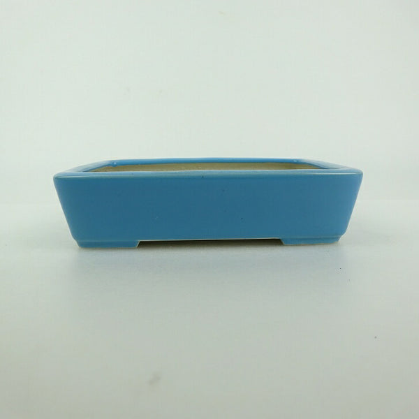 中古盆栽鉢 青香 小型 長辺 約 12.1cm 長方鉢 釉薬  中古鉢 b1198425202