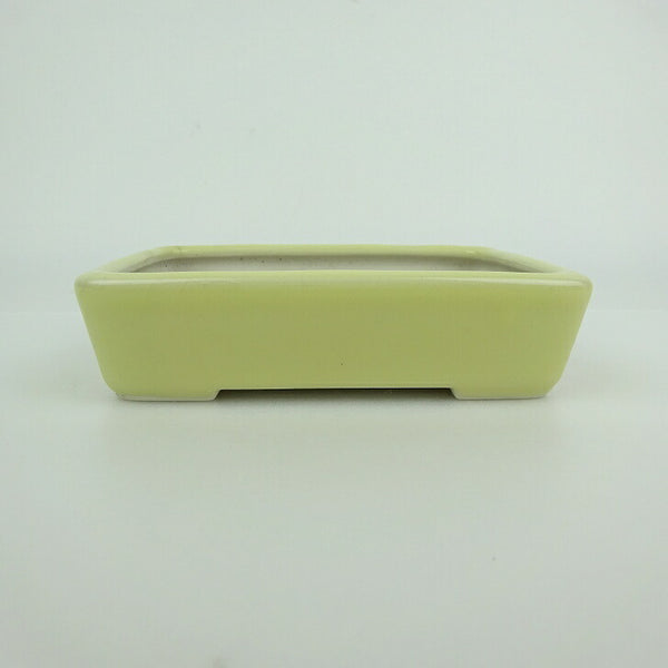中古盆栽鉢 青香 小型 長辺 約 12.1cm 長方鉢 釉薬  中古鉢 x1198414271