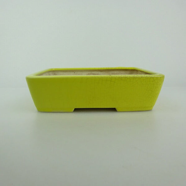 中古盆栽鉢 青香 小型 長辺 約 14.8cm 長方鉢 釉薬  中古鉢 m1198403145